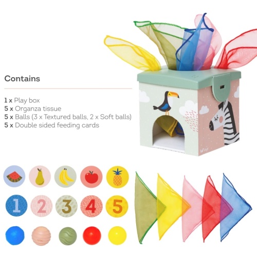 Taf Toys Easier Learning - Magic Box